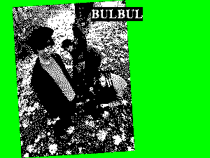 bulbul